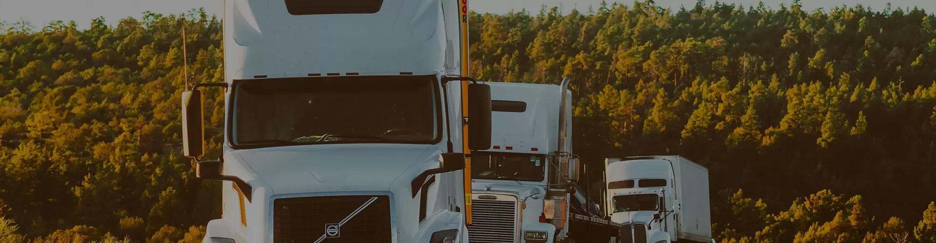 Delivery Instructions