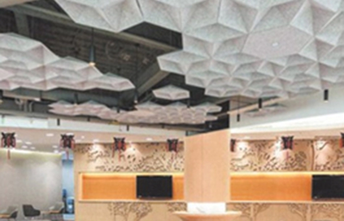 ACOUSTIC CEILING