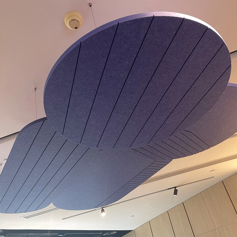 Acoustic Ceiling