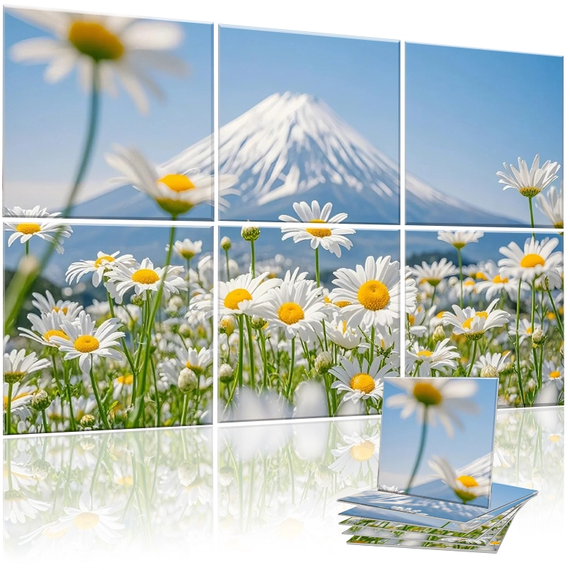 Art PET Acoustic Panels