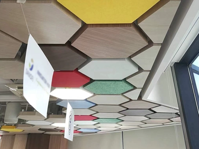 Customized Acoustic Ceiling
