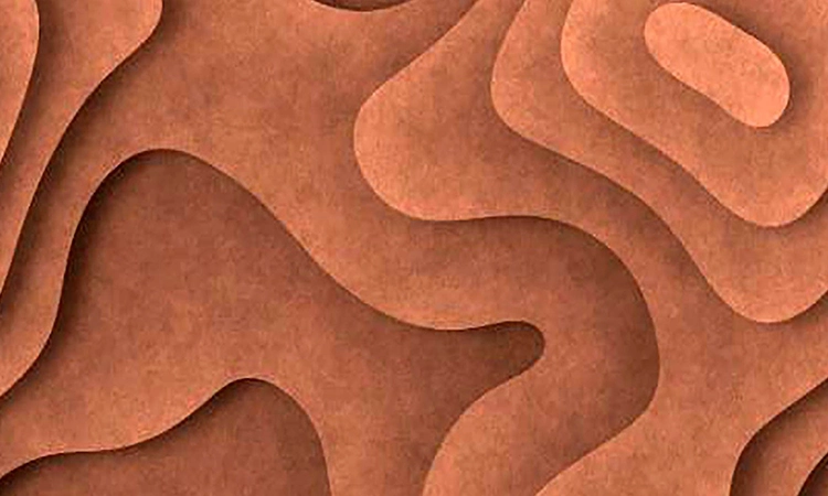 Acoustic Excellence Meets Artistic Design